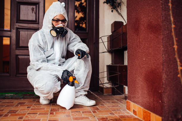 Reliable Cockroach Control contractor in Calera, AL by Nex Pest Control